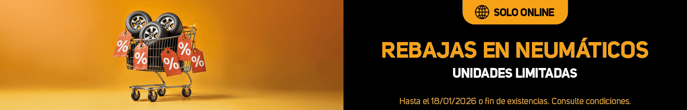 Rebajas de enero online en neumáticos en El Paso 2000