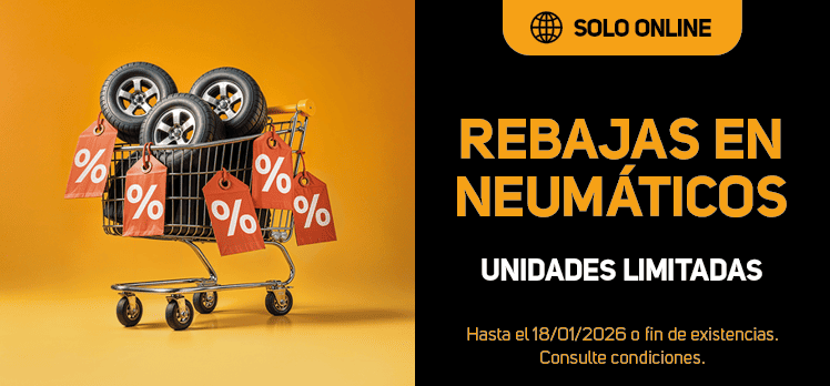 rebajas de enero online - el paso2000