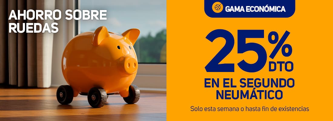 25% de descuento en el segundo neumático económico - el paso2000